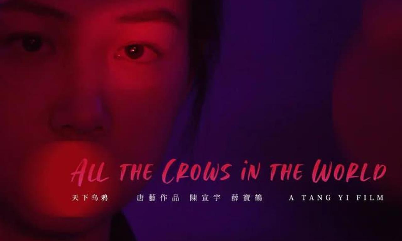 header image for All the Crows in the World