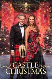 A Castle for Christmas
