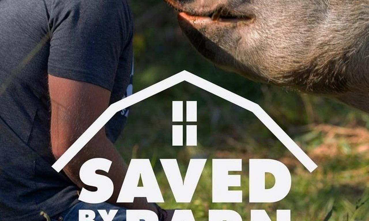 header image for Saved by the Barn