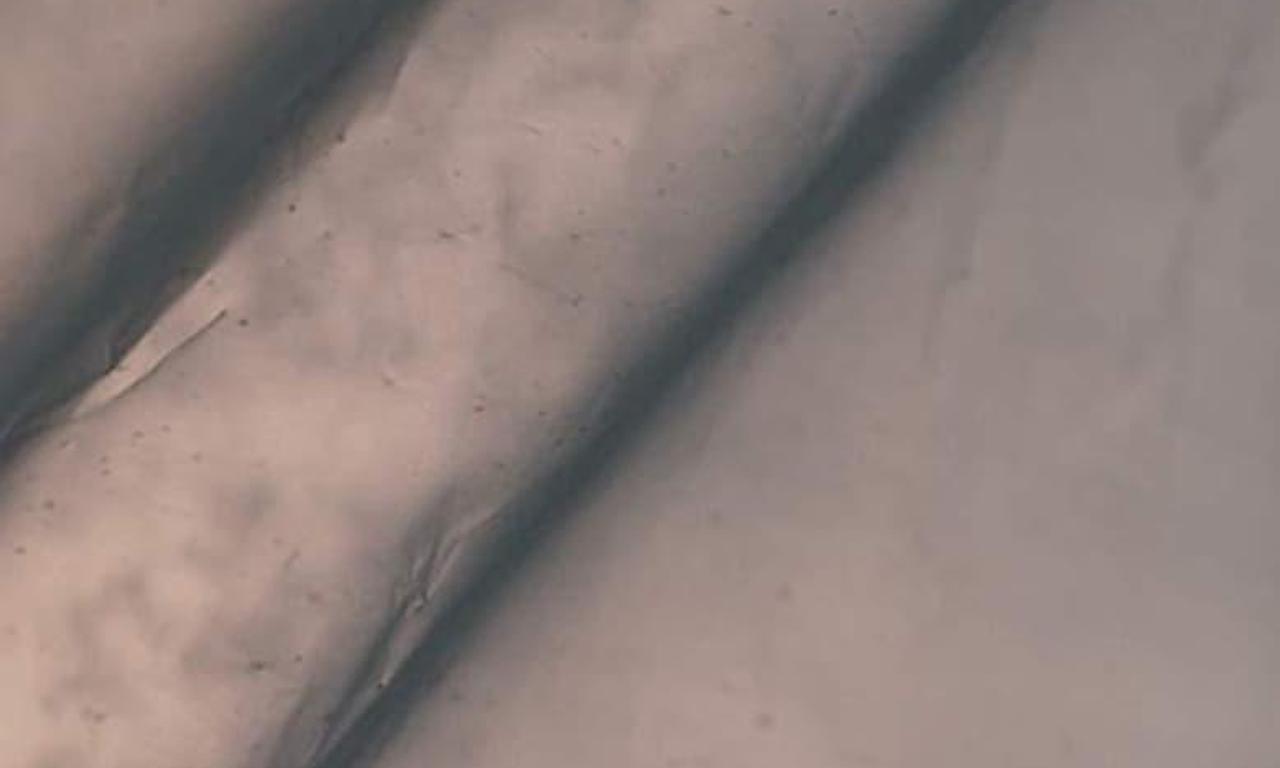 header image for No Escape