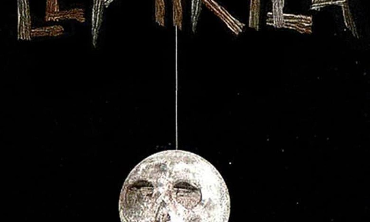 header image for Leptirica