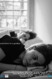 Screenshots for a Goodbye