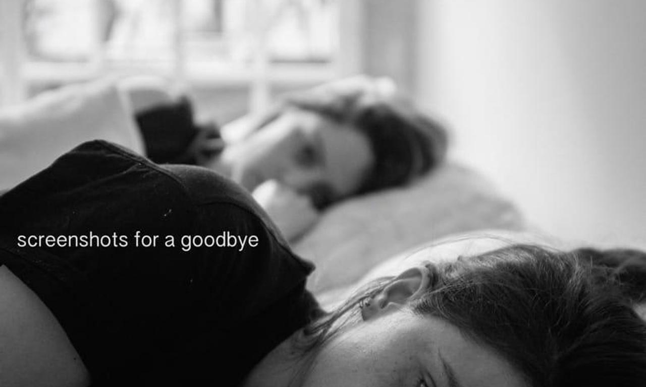 header image for Screenshots for a Goodbye
