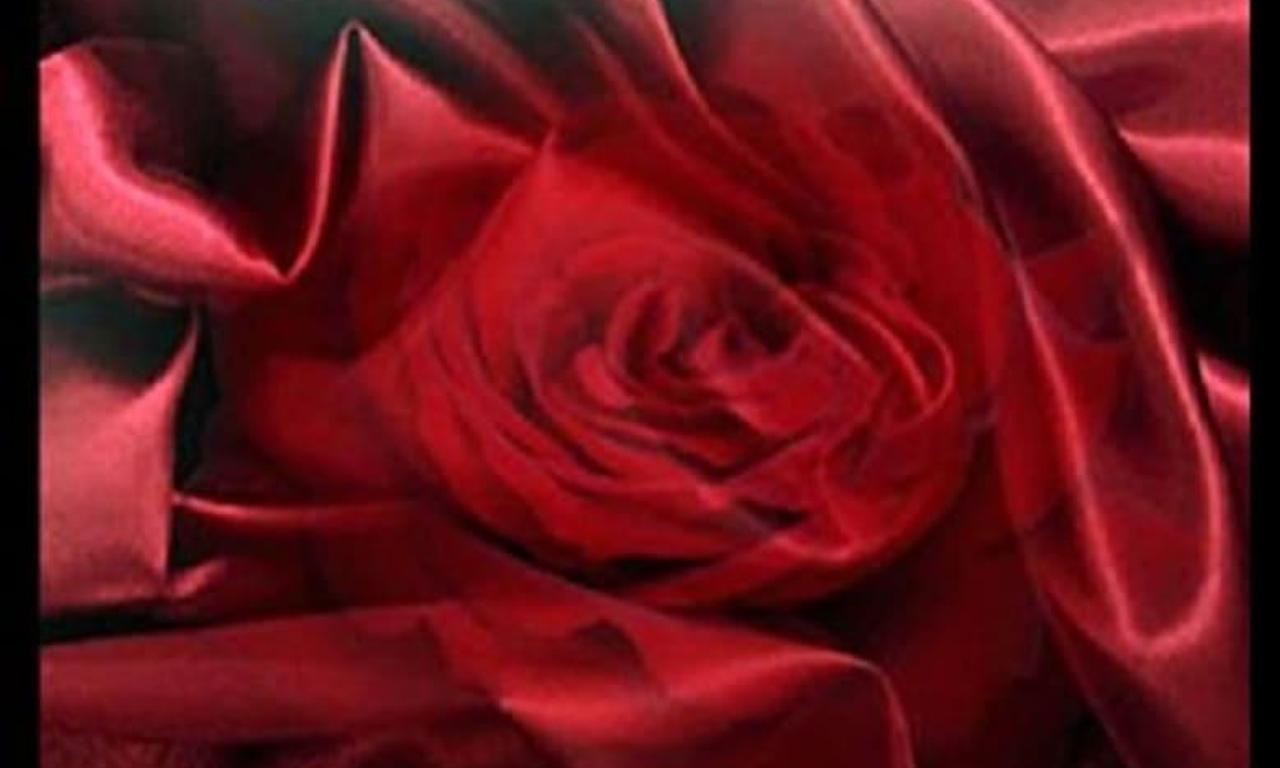 header image for Sexters