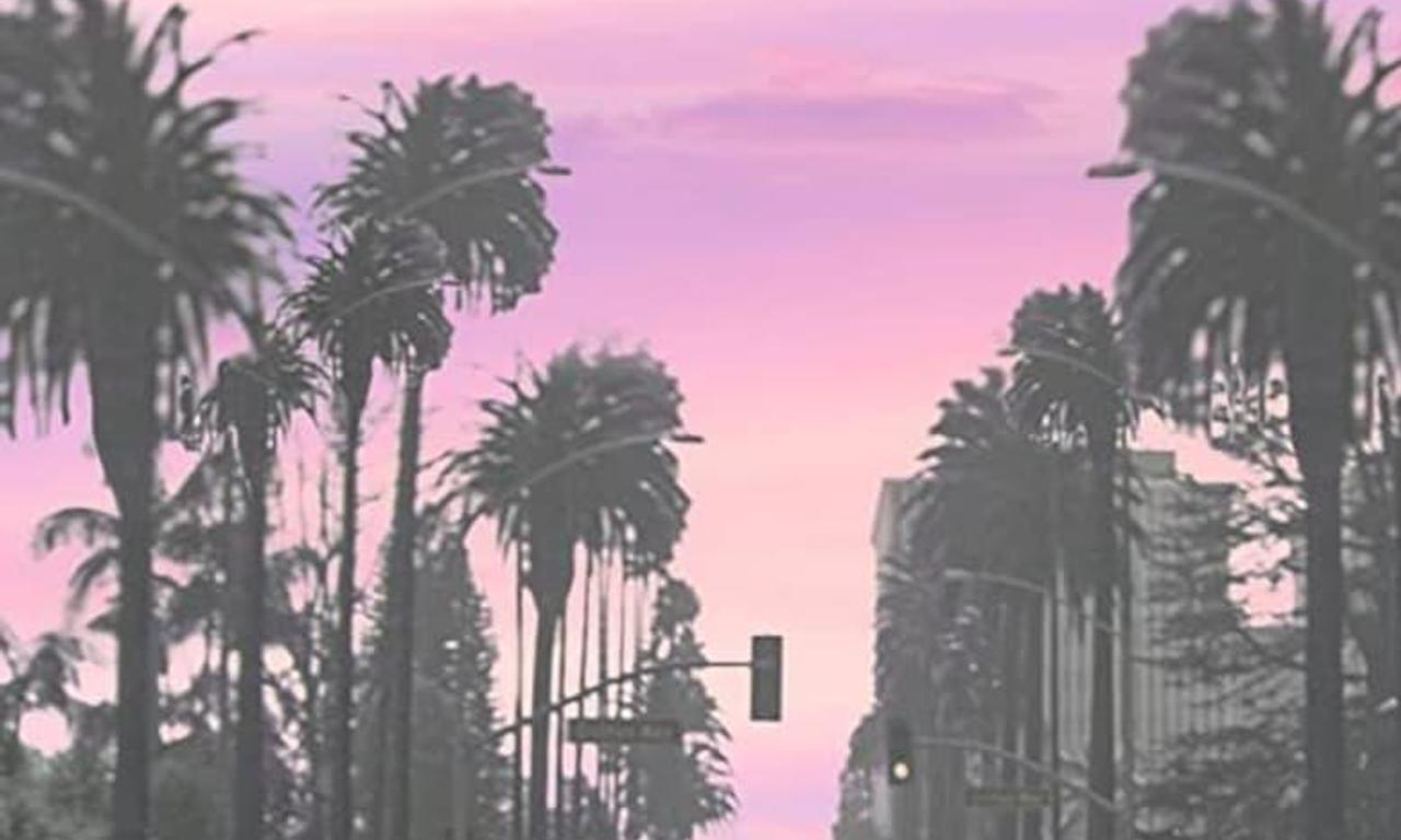 header image for Alta Vista