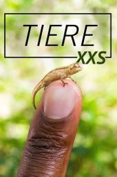 Super Small Animals