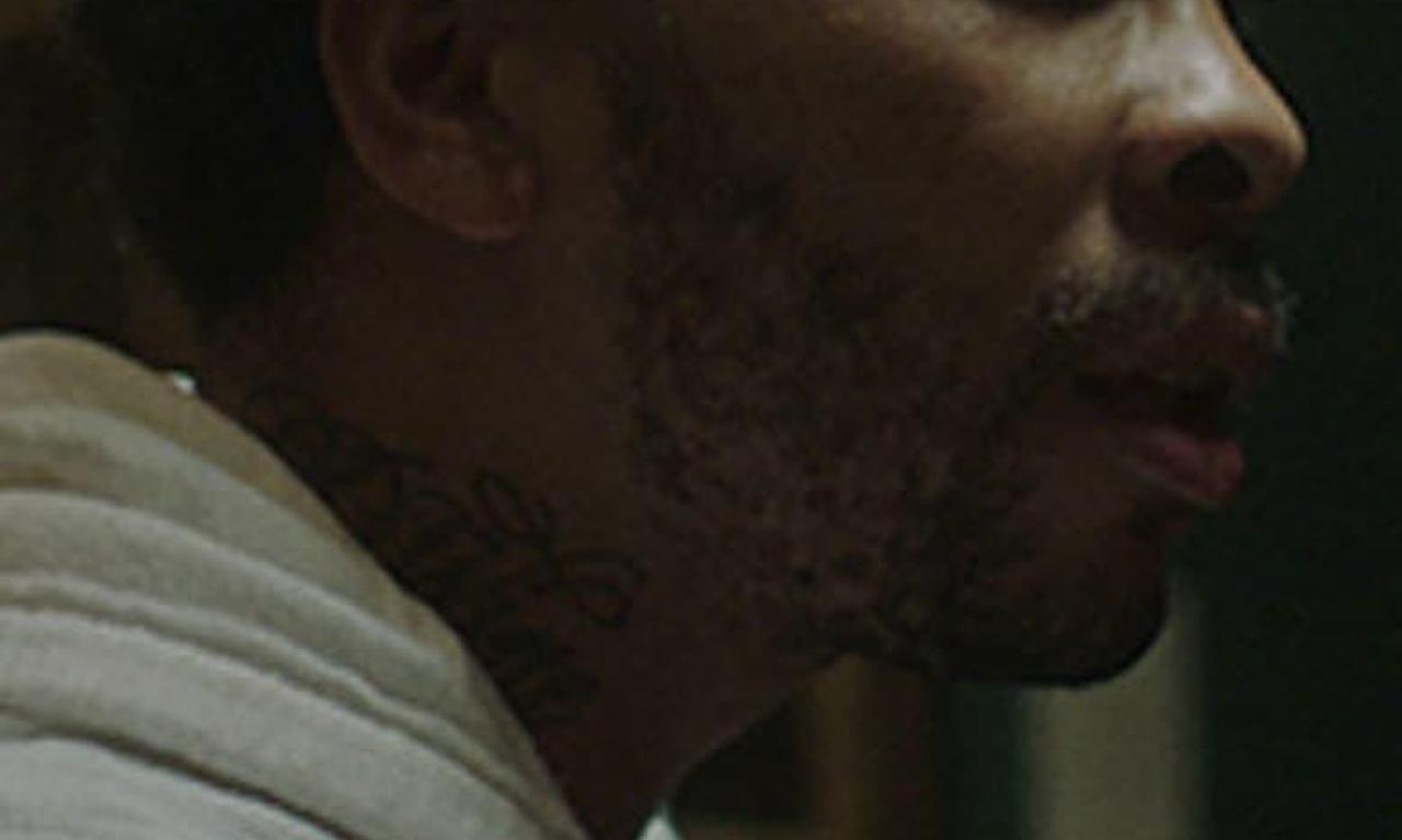 header image for Master of Light