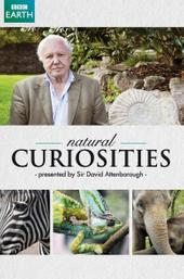 David Attenborough's Natural Curiosities