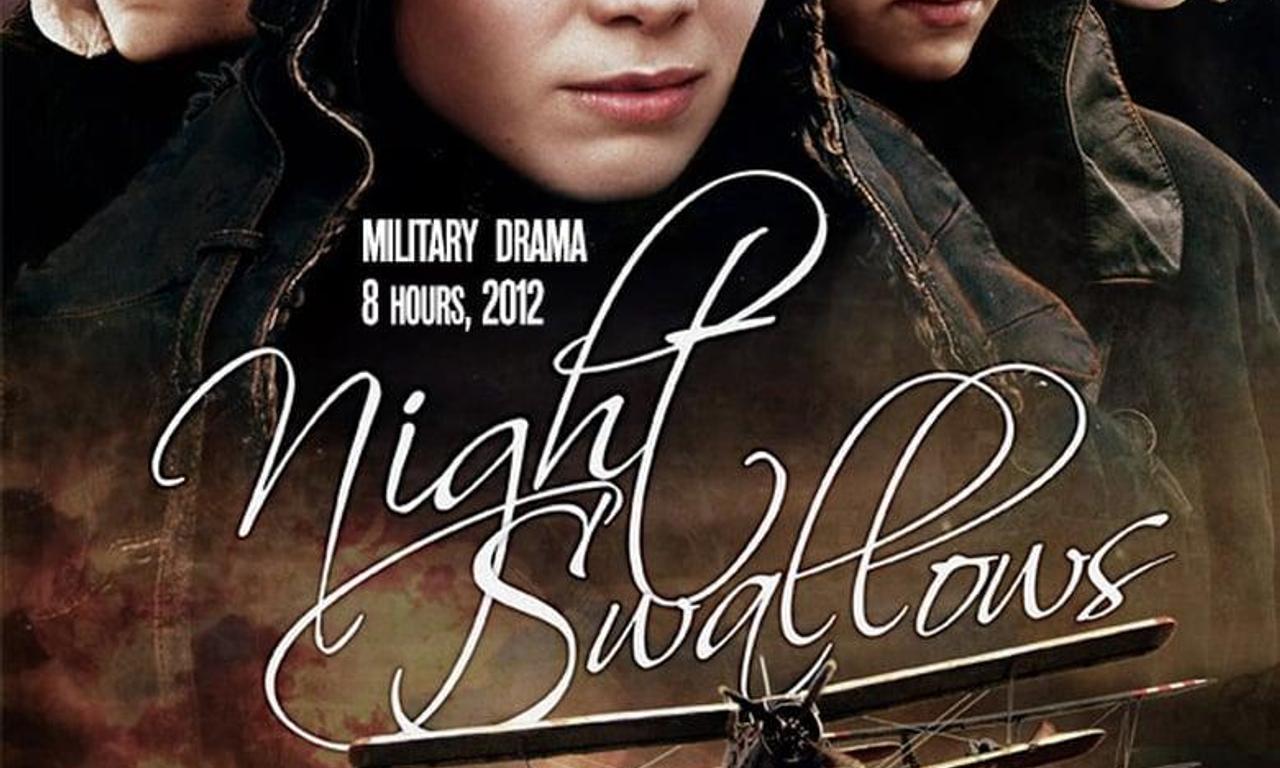 header image for Night Swallows