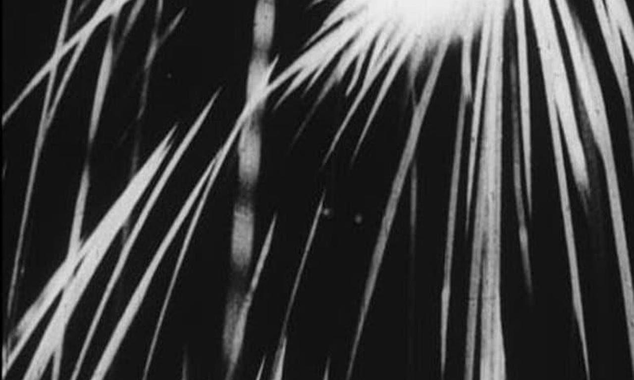 header image for The Light Penetrates the Dark