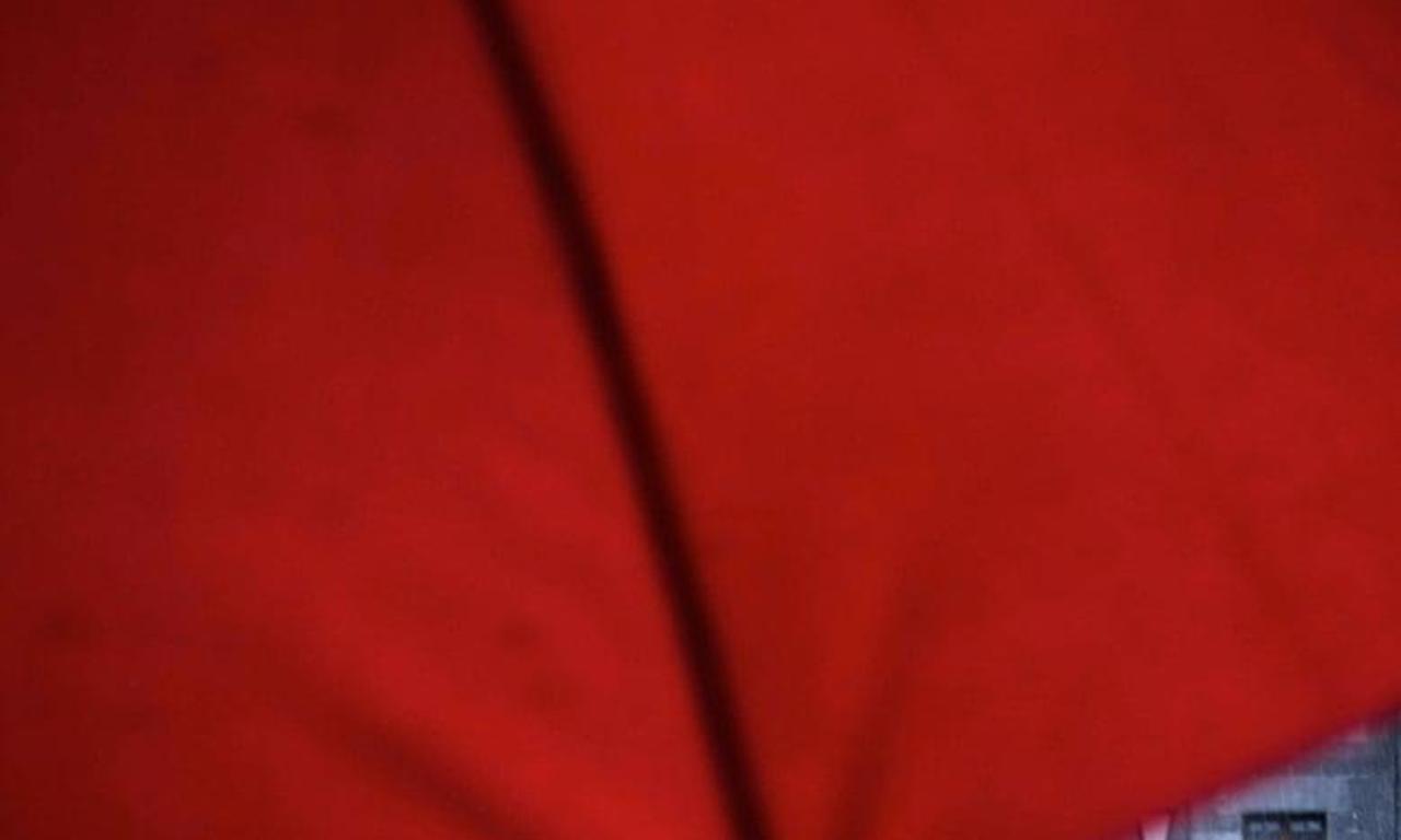 header image for Patria