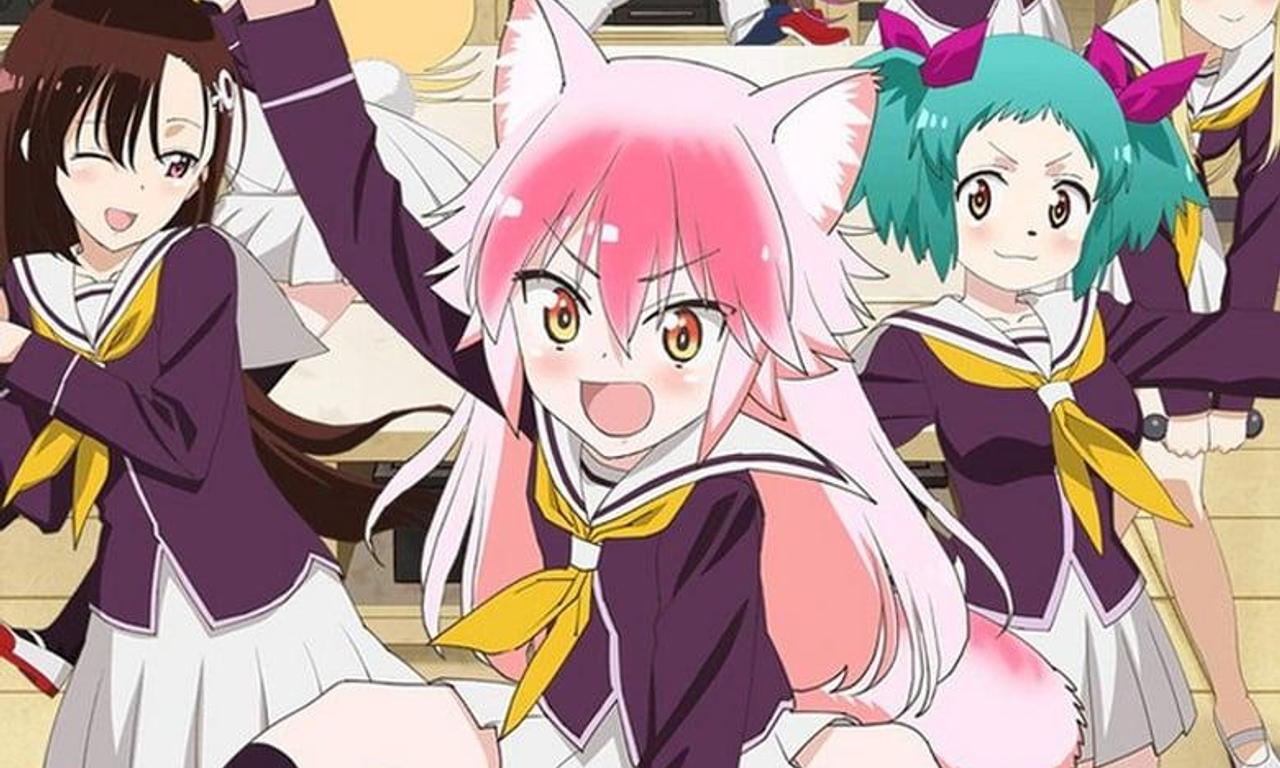 header image for Seton Academy: Join the Pack!