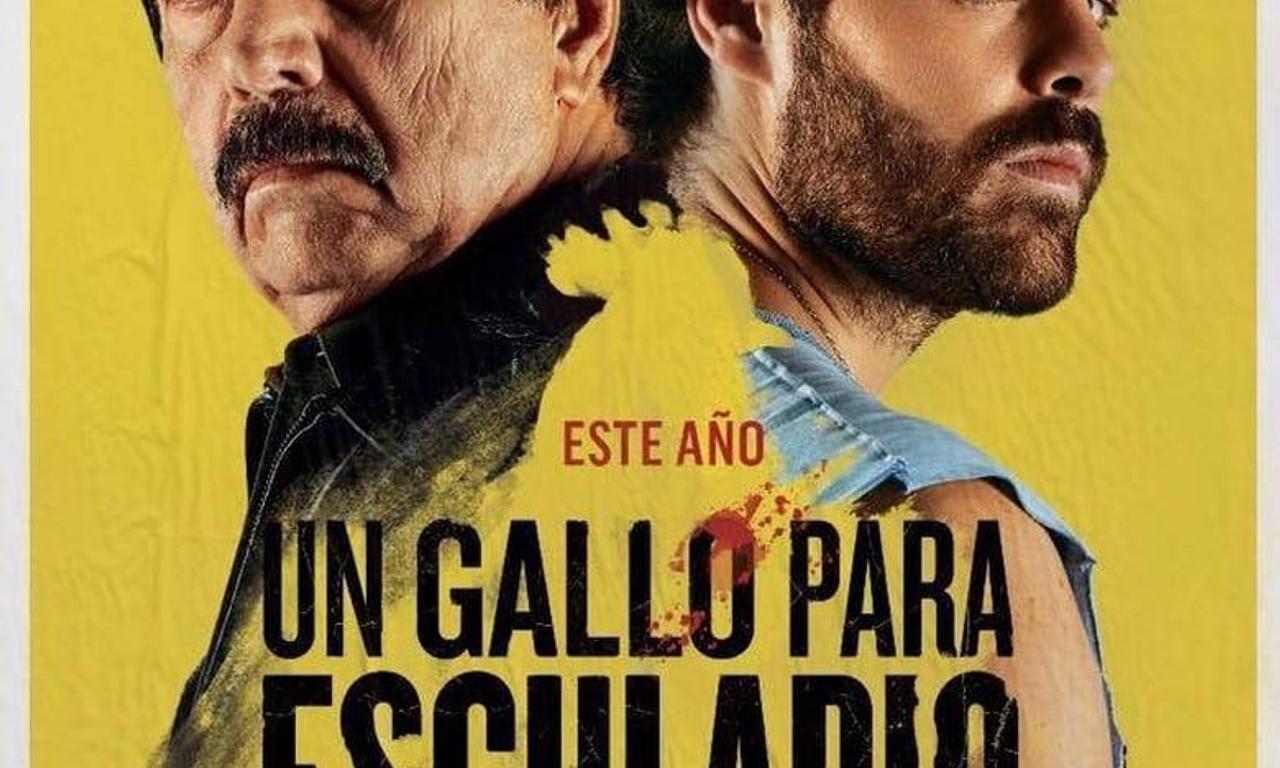 header image for A Rooster for Esculapio