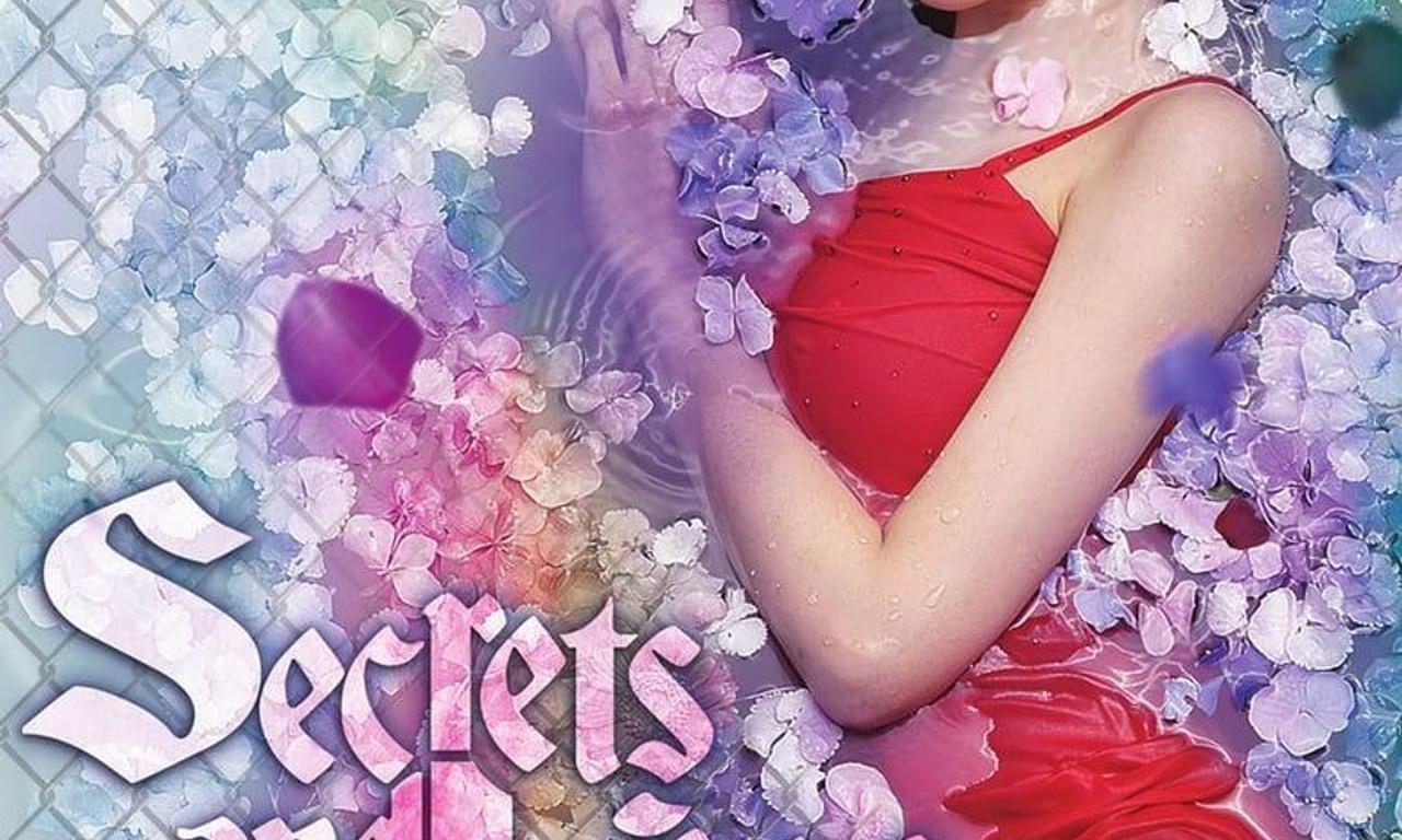 header image for Secrets and Lies