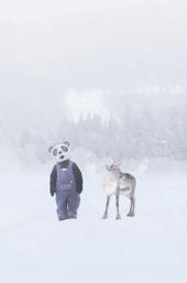 Wonder World of Ice
