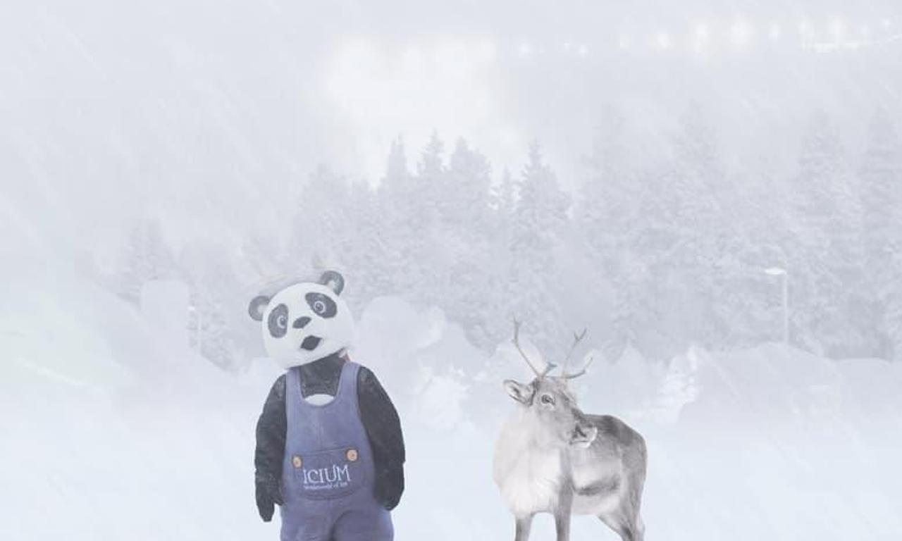 header image for Wonder World of Ice