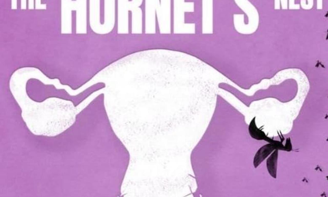 header image for Kicking the Hornet's Nest