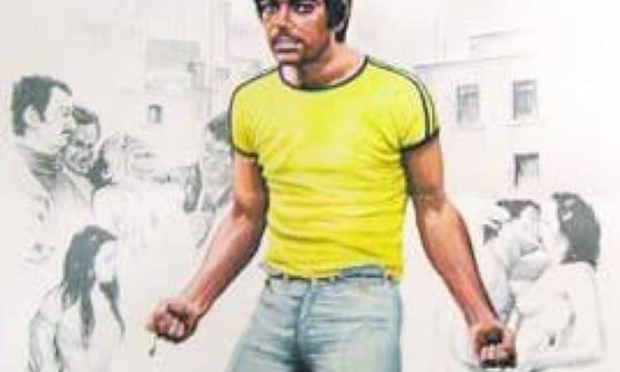 header image for Perro callejero 2