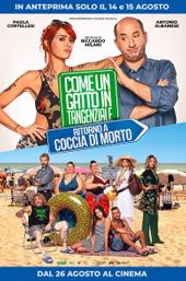 Like a Cat on a Highway 2