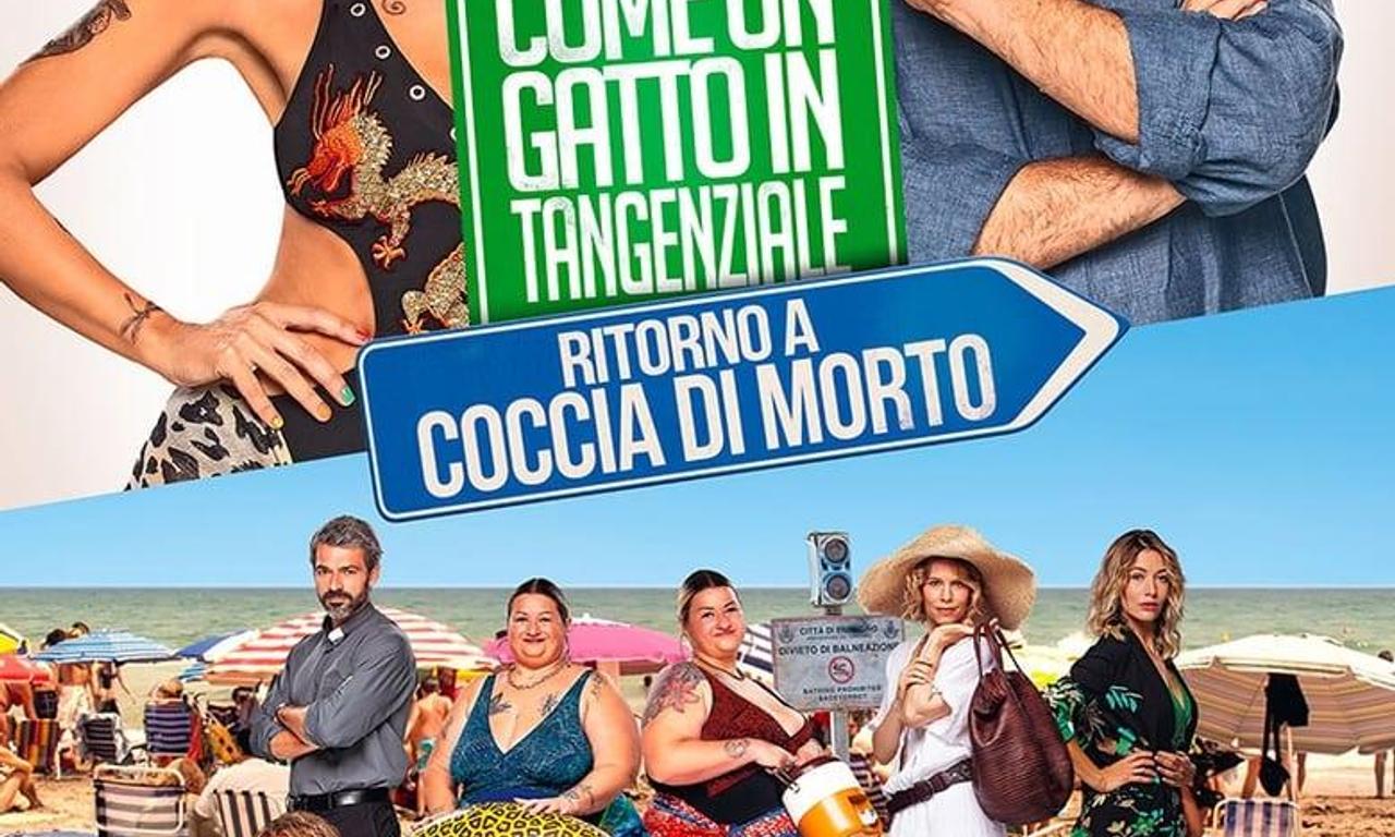 header image for Like a Cat on a Highway 2