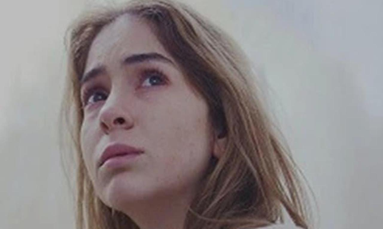 header image for Immaculate