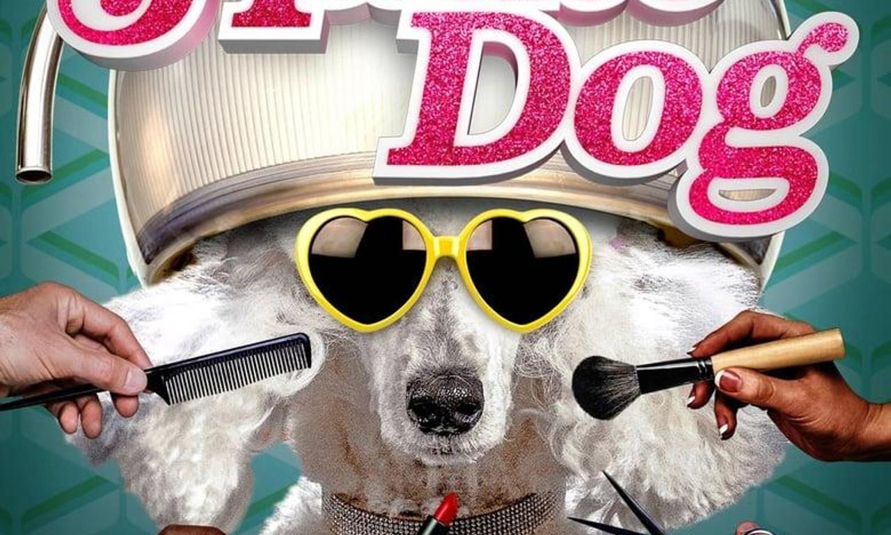 header image for Haute Dog