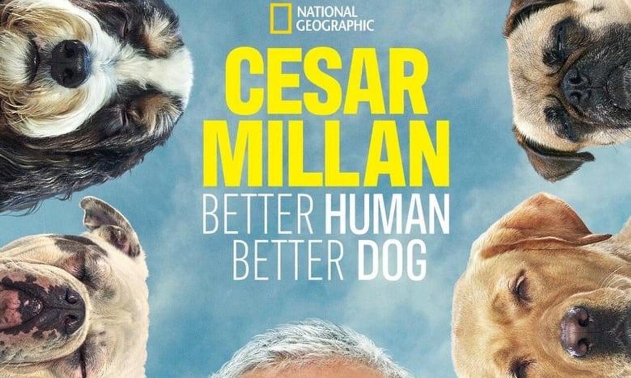 header image for Cesar Millan: Better Human, Better Dog