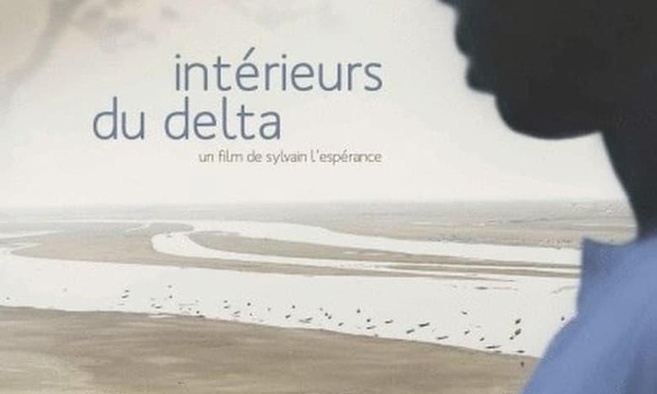 header image for Into the Delta