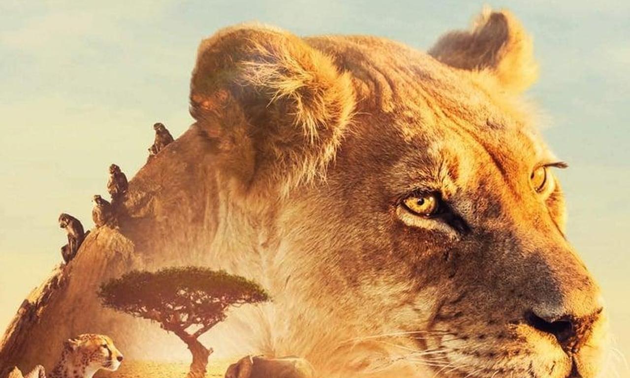 header image for Serengeti