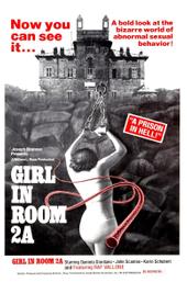 The Girl in Room 2A