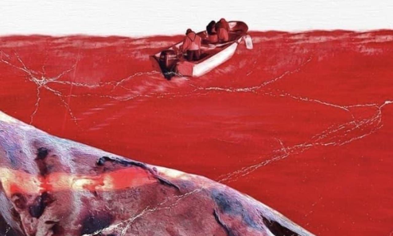 header image for Fin