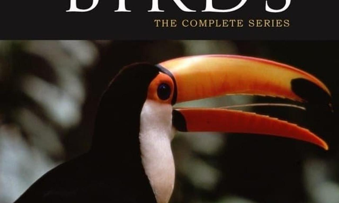 header image for The Life of Birds