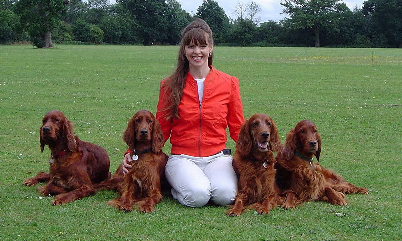 header image for It's Me or the Dog