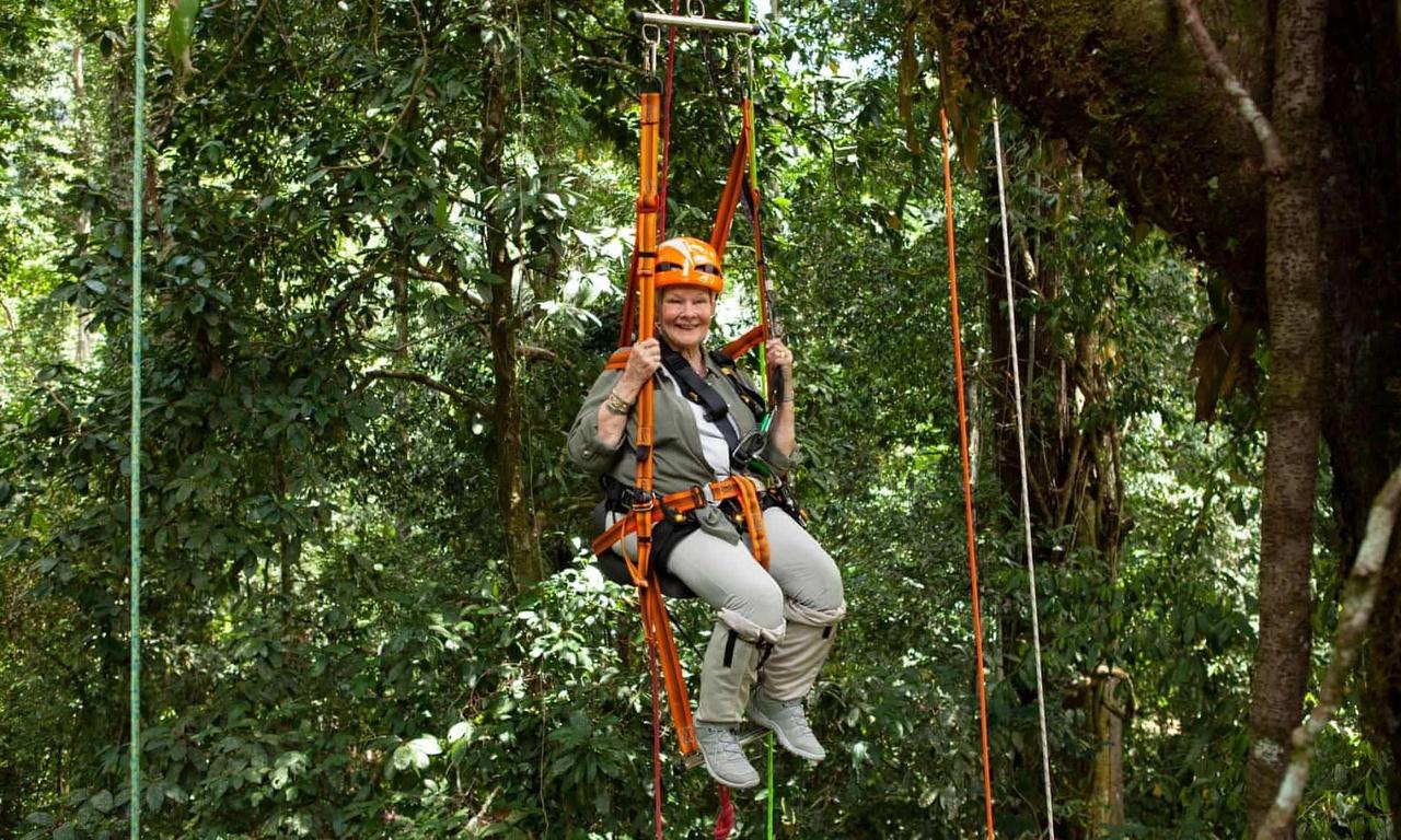 header image for Judi Dench's Wild Borneo Adventure