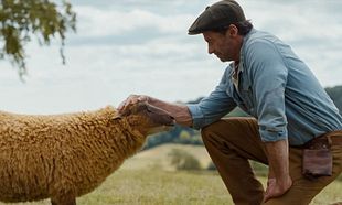 The Sheep Detectives