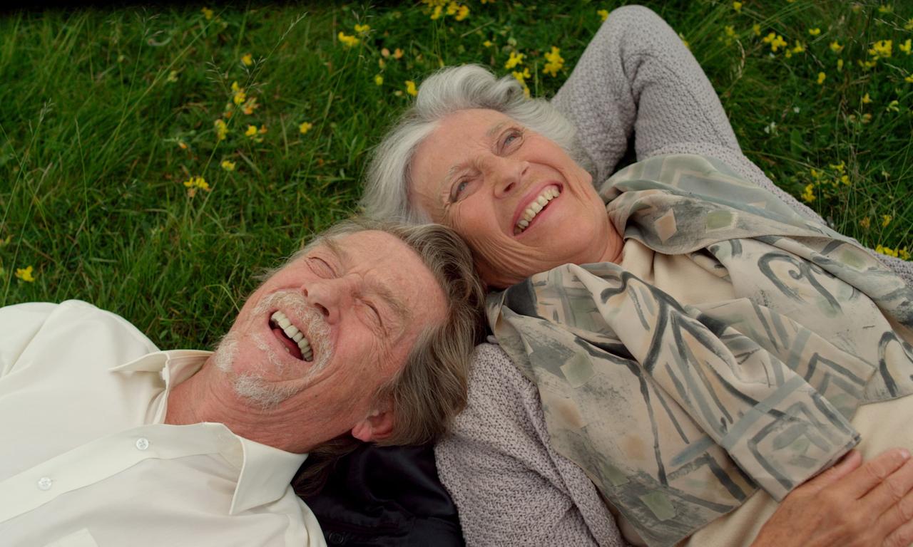 header image for Love at First Sight