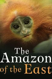 The Amazon of the East
