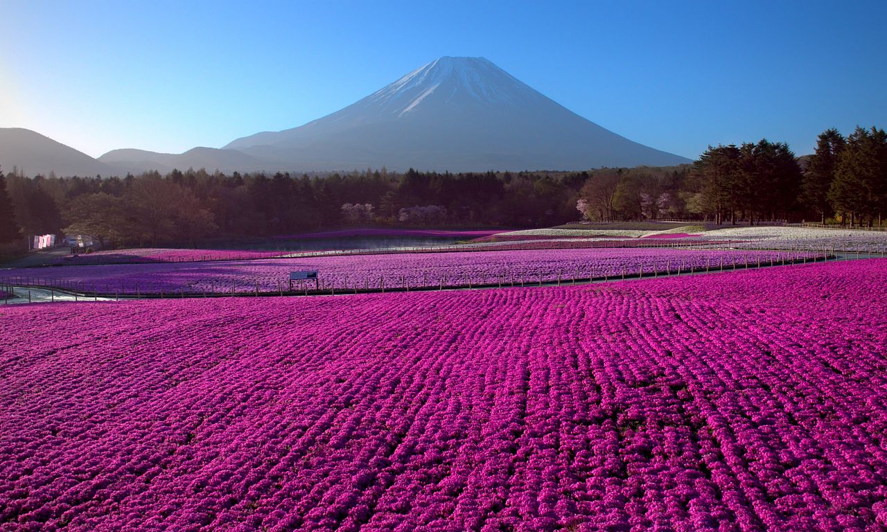 header image for Japan from Above