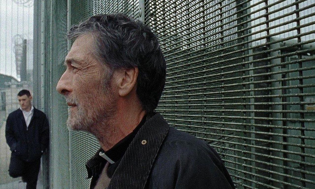 header image for Wren Boys