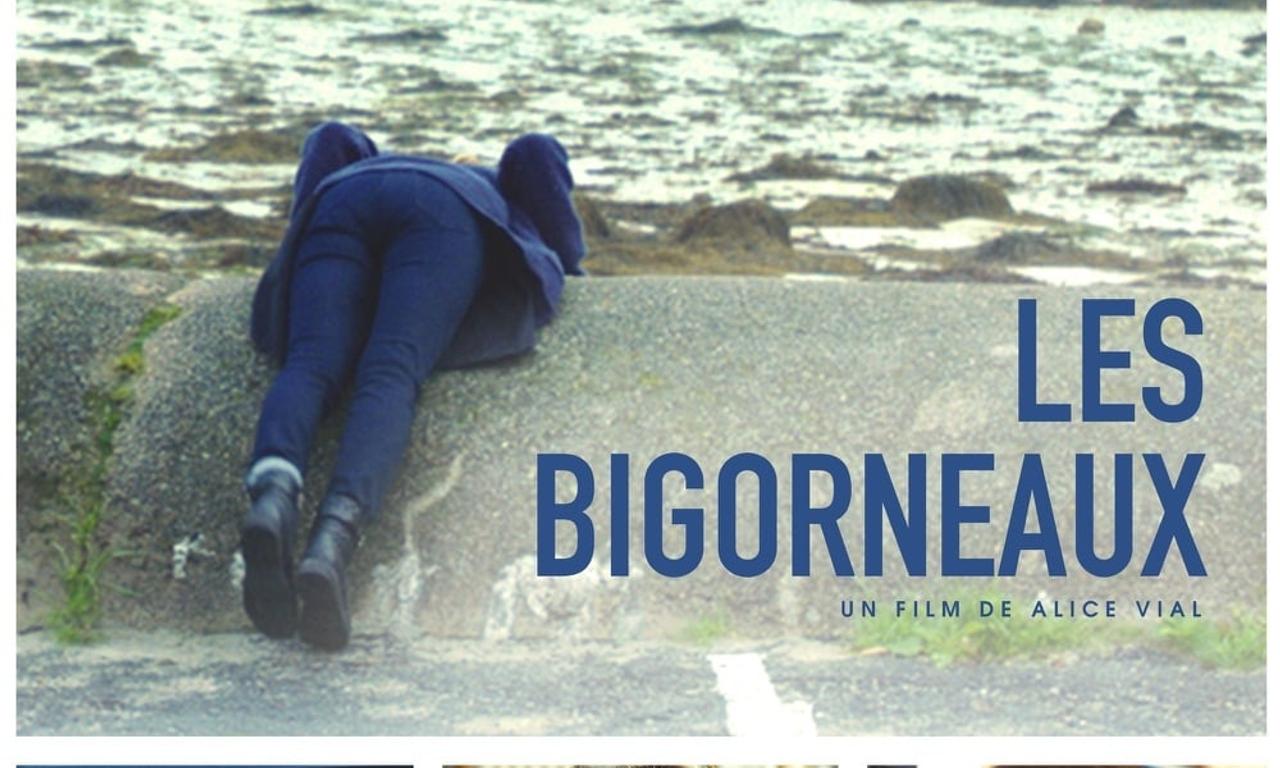 header image for The Winkles