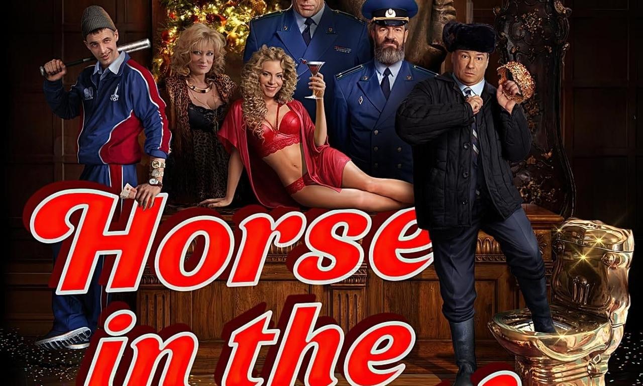 header image for Horse in the Coat!