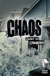 Chaos Caught on Camera