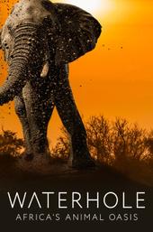Waterhole: Africa's Animal Oasis
