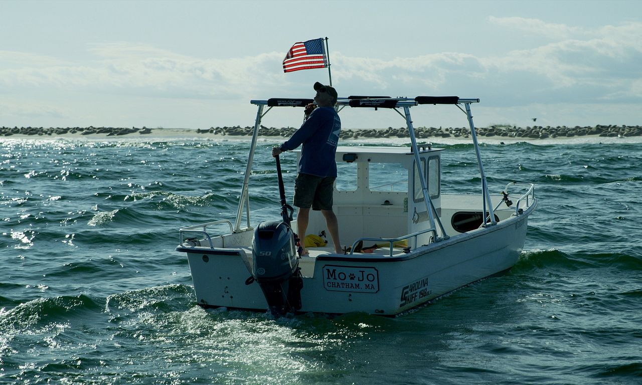 header image for Great White Summer