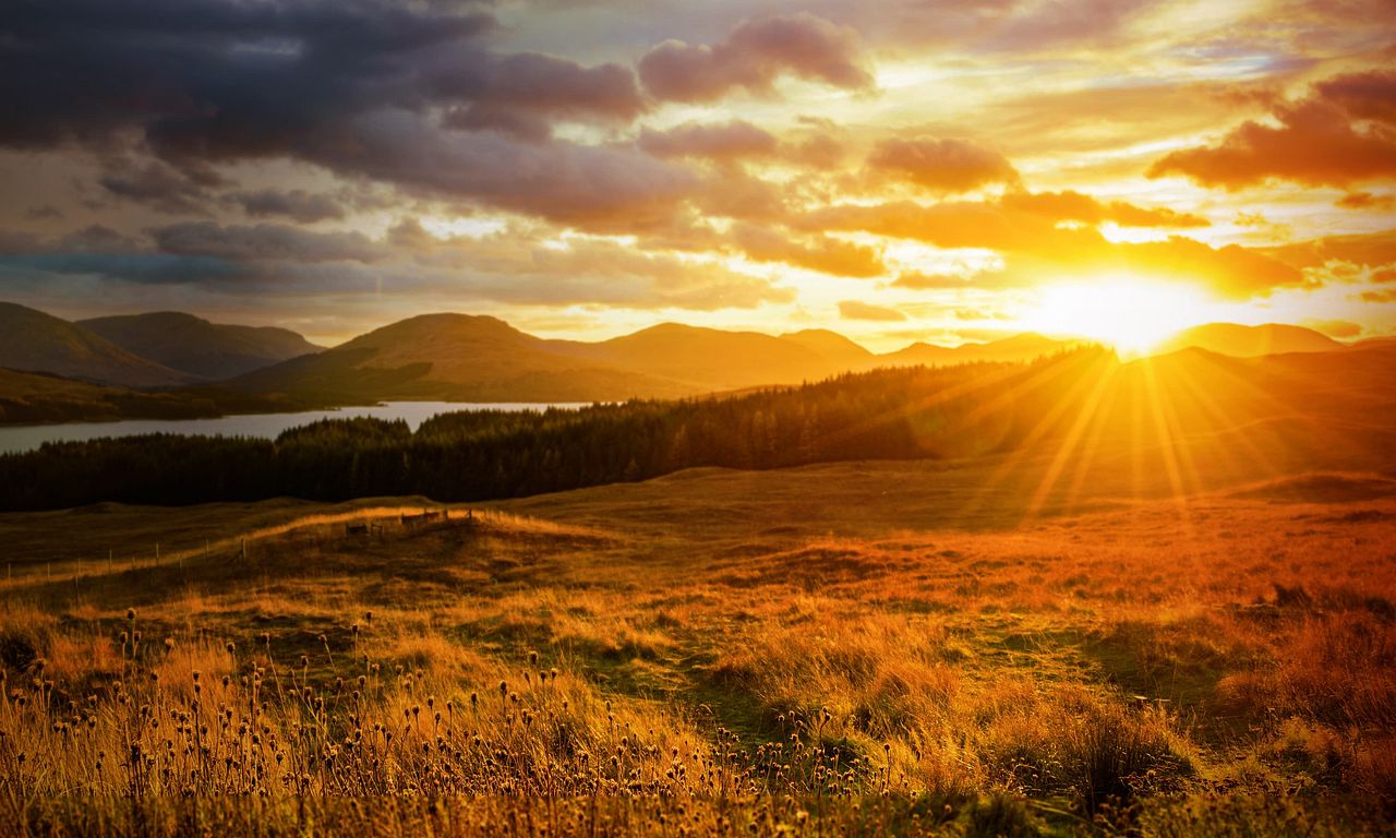 header image for Autumnwatch