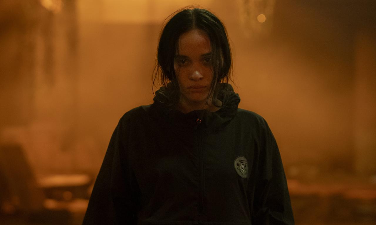 header image for The Shadow Strays