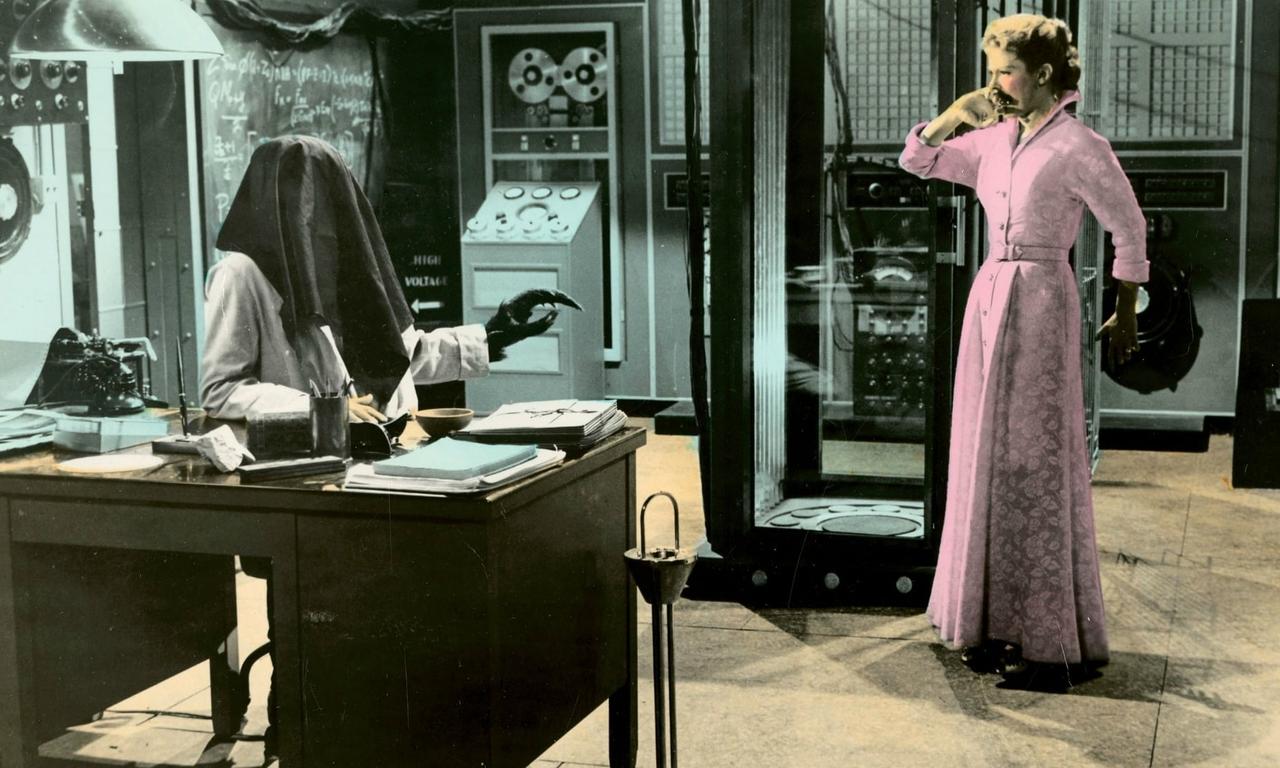 header image for The Fly