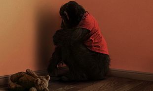 Primate
