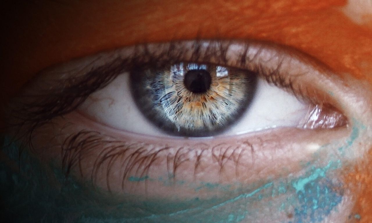 header image for Impact x Nightline