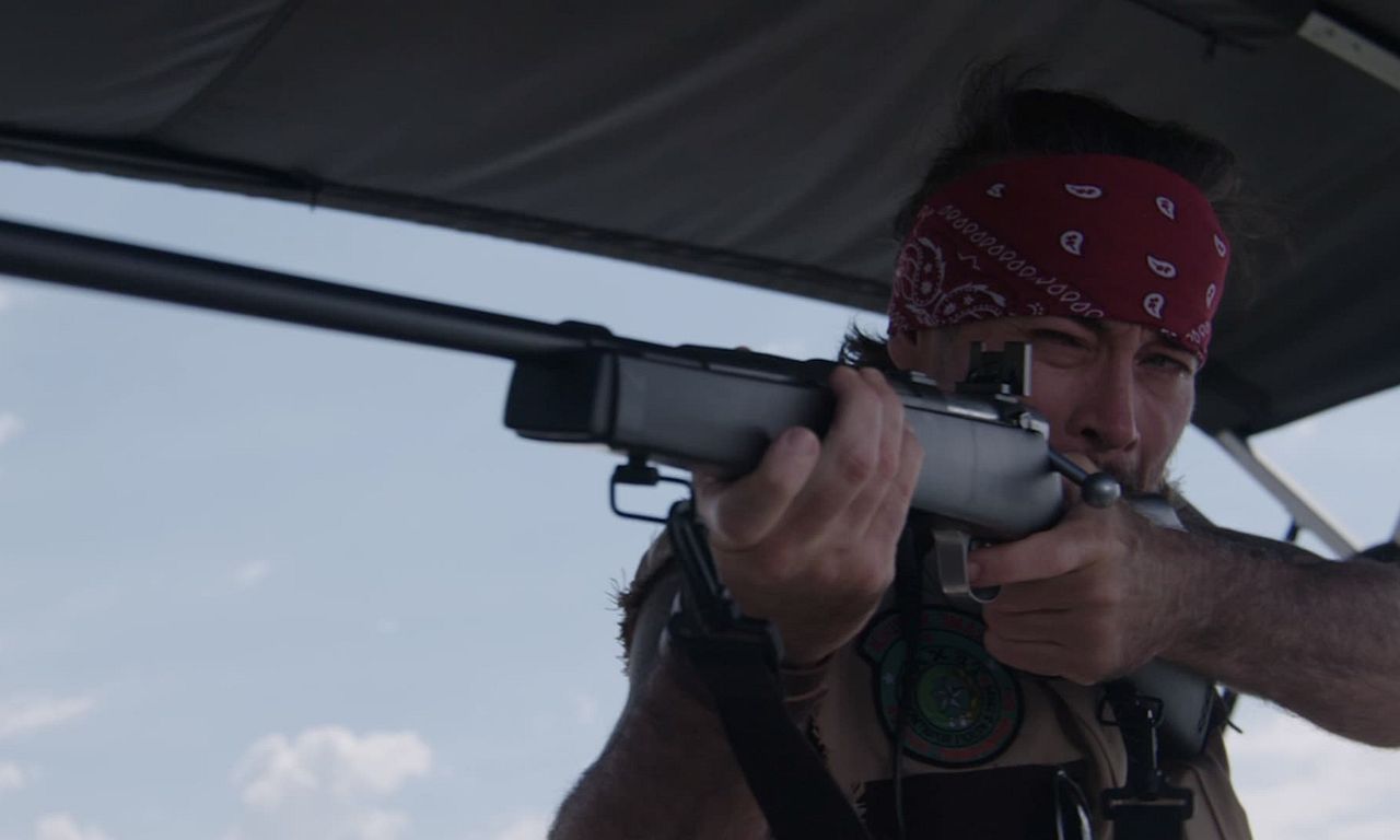 header image for Bull Shark 2